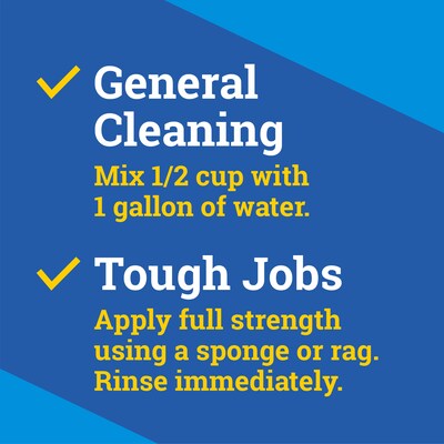 CloroxPro Clorox Fraganzia Multi-Purpose Cleaner, Lavender Meadows Scent, 175 fl oz. (60614)