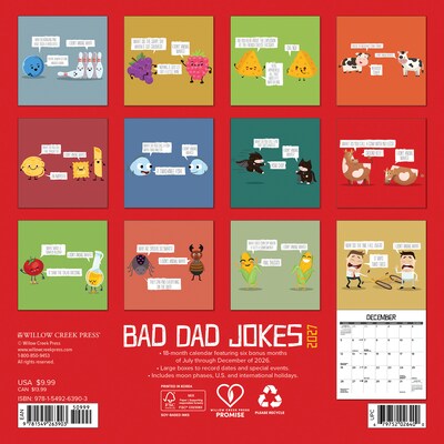2027 Willow Creek Bad Dad Jokes 7 x 7 Monthly Wall Calendar (63903)