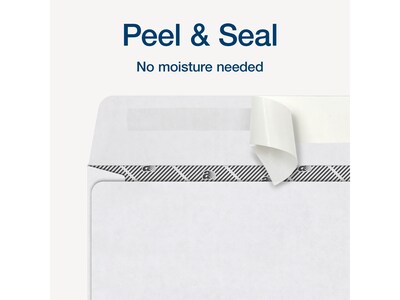 Adams 2024 Self-Seal Security-Tinted Double-Window 1099 Tax Envelope, 9" x 5-5/8", White, 25/Pack (STAX1-24)