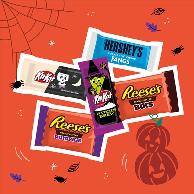 Hershey's Snack Size Assorted Flavored Chocolate Variety Bag, 17.28 oz., 30 Pieces (HEC45891)
