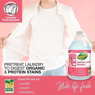 OdoBan Professional Laundry Stain Remover, 1 Gallon (960062-G4)