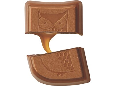 Awake Changemaker Bite Caramel Milk Chocolate, 24 oz., 50 Pieces/Box (00453U)
