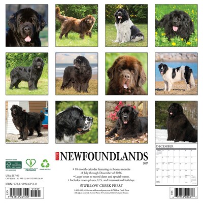 2027 Willow Creek Newfoundlands 12 x 12 Monthly Wall Calendar (61510)