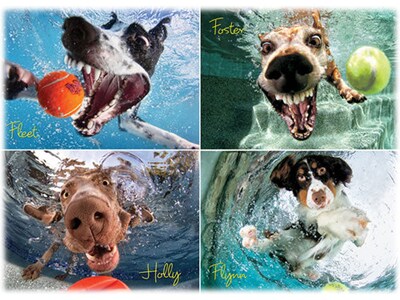 Willow Creek Underwater Dogs: Play Ball 1000-Piece Jigsaw Puzzle (48482)