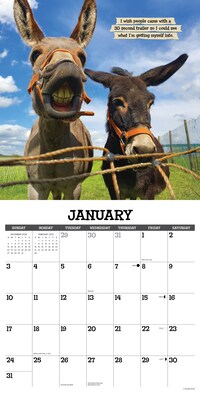 2027 Willow Creek Multi 12" x 12" Monthly Wall Calendar, Assorted Colors (62142)