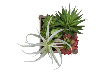 Monarch Specialties Inc. 10" Artificial Succulent in Pot, 2/Set (I 9371)
