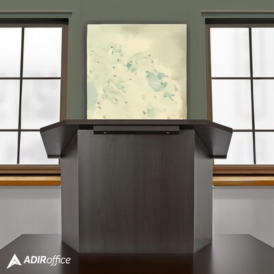 AdirOffice 19" Tabletop Lectern, Black (661-05-BLK-PKG)