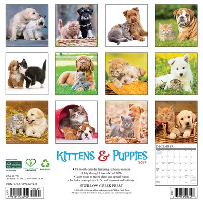 2027 Willow Creek Kittens & Puppies 12 x 12 Monthly Wall Calendar, Assorted Colors (60940)