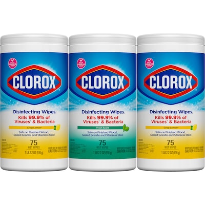 Clorox Disinfecting Wipes Value Pack, Bleach Free Cleaning Wipes - 225 Wipes (30208)