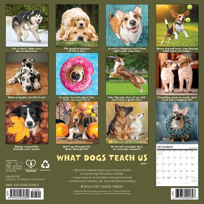 2027 Willow Creek What Dogs Teach Us 12 x 12 Monthly Wall Calendar, Assorted Colors (62890)