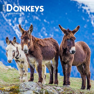 2025 BrownTrout Donkeys 12 x 24 Monthly Square Wall Calendar, (9781975476946)
