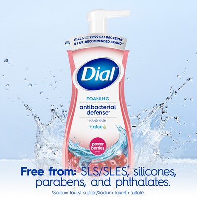 Dial Antibacterial Foaming Hand Soap, Power Berries Scent, 8/Carton (017000347271)