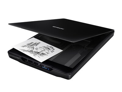 Epson Perfection V19 II Flatbed Portable Photo Scanner, Black (B11B267201)