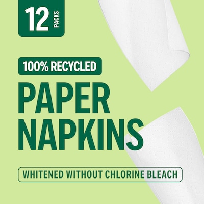 Perk™ Eco Recycled Lunch Napkin, 1-ply, White, 400 Napkins/Pack, 12 Packs/Carton (CW20179-CT)