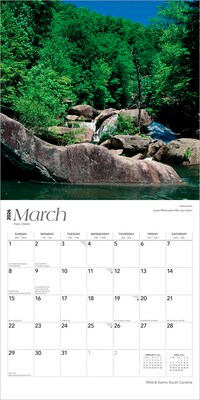 2026 BrownTrout South Carolina Wild & Scenic 12" x 12" Monthly Wall Calendar (9798330705658)