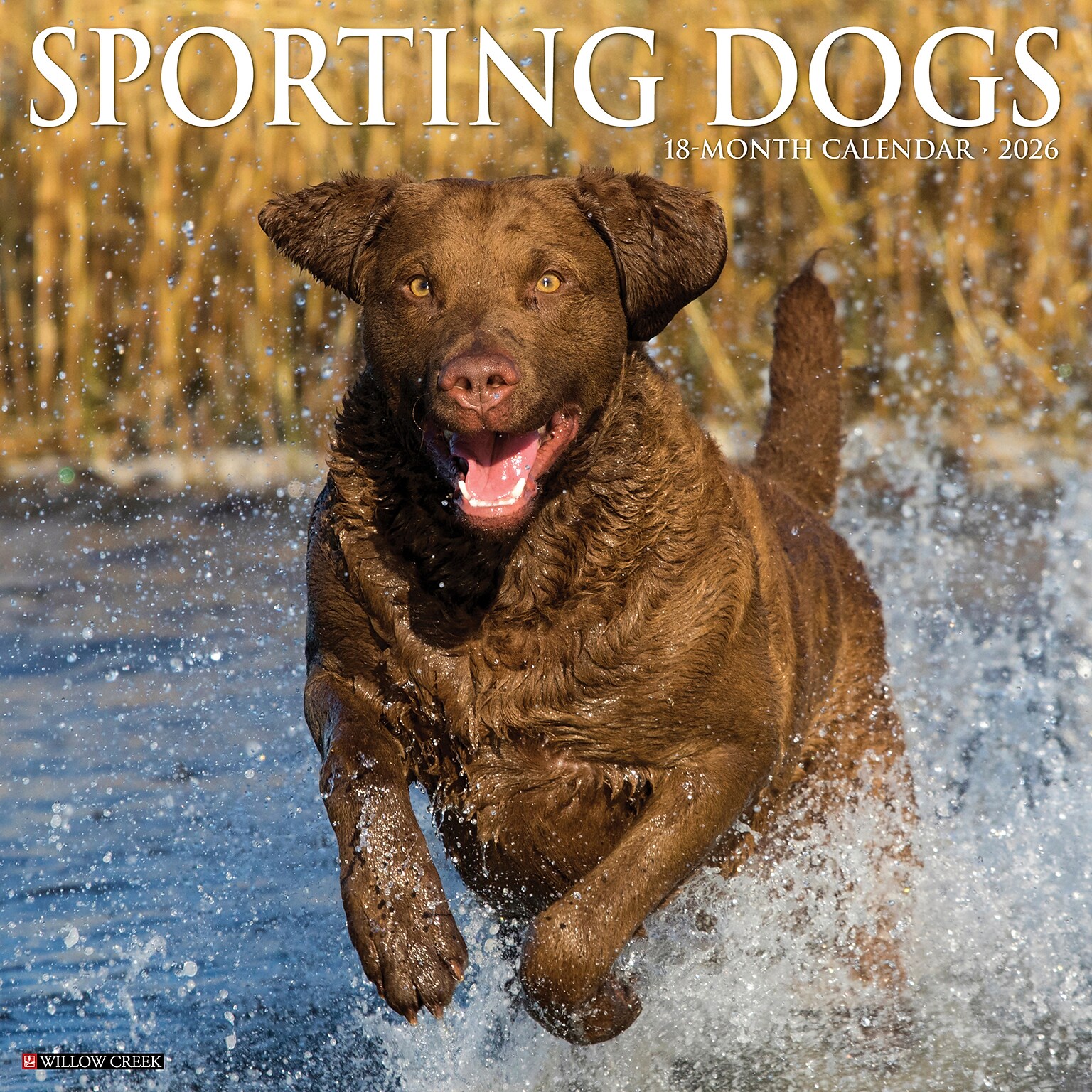 2026 Willow Creek Sporting Dogs 12 x 12 Monthly Wall Calendar (55557)