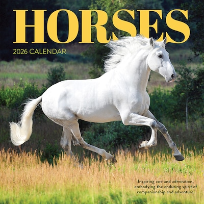 2026 TF Publishing Horses 12 x 12 Monthly Wall Calendar (26-1012)