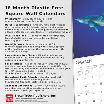 2025 BrownTrout Sharks 12" x 12" Monthly Square Wall Calendar (9781975475697)