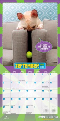 2026 BrownTrout Avanti Livin' the Dream 7" x 7" Monthly Wall Calendar (9798330707966)