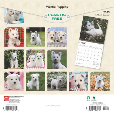 2025 BrownTrout West Highland White Terrier Puppies 12 x 12 Monthly Wall Calendar (9781975480738)