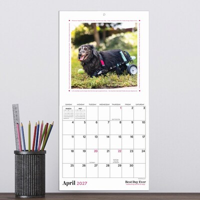 2027 TF Publishing Best Day Ever: Dogs 7" x 7" Monthly Wall Calendar, Multicolored (27-2008)