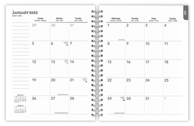 2025 BrownTrout Portrait Series: The Regal Cat 6" x 7.75" Weekly Engagement Planner, Paper Cover, Multicolored (9781975473211)