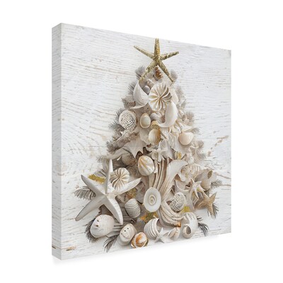 Trademark Fine Art Sasha Seaside Christmas I Canvas Art, 24" x 24" (ALI67654-C2424G)