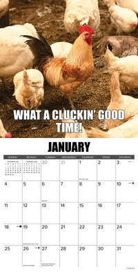 2026 Willow Creek No Clucks Given 12" x 12" Monthly Wall Calendar (52181)