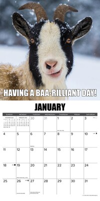 2026 Willow Creek You Goat This 12" x 12" Monthly Wall Calendar (53393)