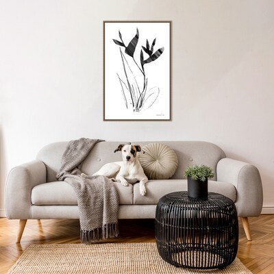 Amanti Art Paradise Botanicals I by Danhui Nai Framed Canvas Wall Art Print, 23 x 33 (A42678302435