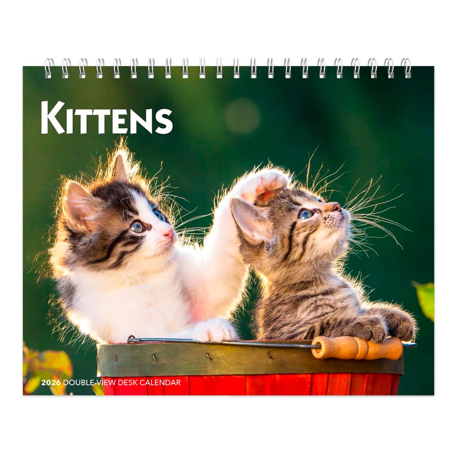 2026 BrownTrout Kittens 7.5 x 6 Monthly Desk Calendar (9798330704118)