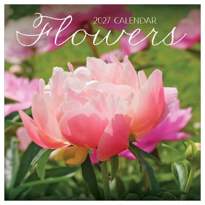 2027 TF Publishing Flowers 10 x 12 Monthly Wall Calendar, Multicolored (27-1034)