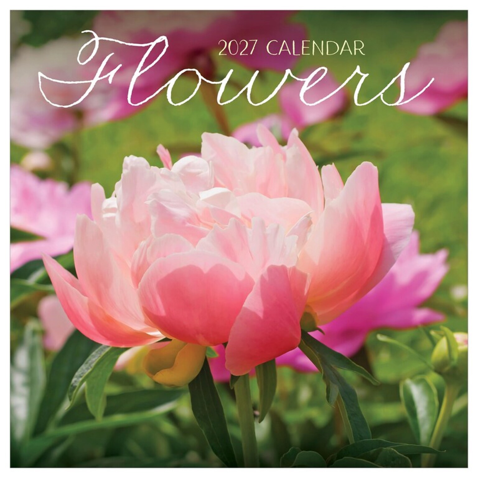 2027 TF Publishing Flowers 10 x 12 Monthly Wall Calendar, Multicolored (27-1034)