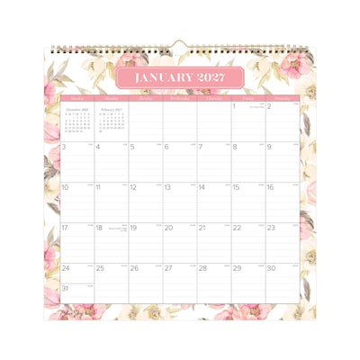 2027 Blue Sky 12 x 12 Monthly Wall Calendar, Pink/White (160210)