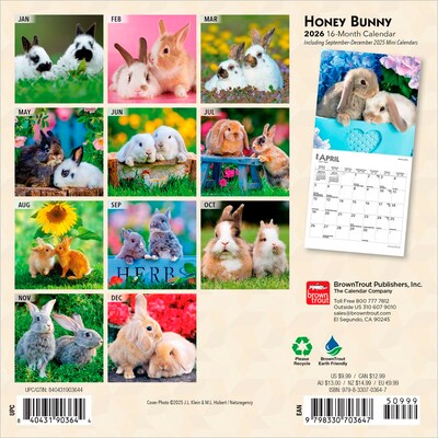 2026 BrownTrout Honey Bunny 7 x 7 Monthly Wall Calendar (9798330703647)