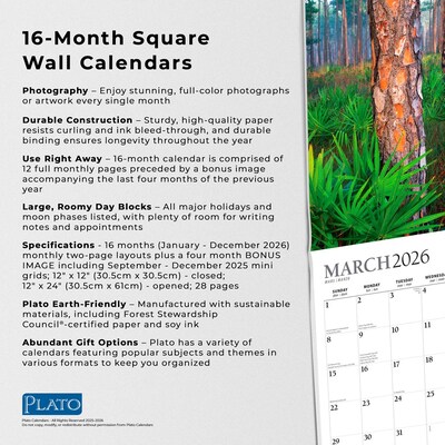 2026 Plato America's National Parks 12" x 12" Monthly Wall Calendar (9798330706617)