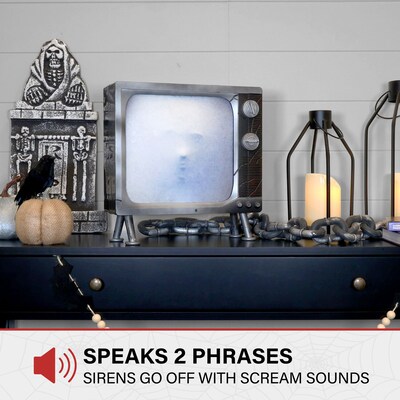 Haunted Hill Farm Haunted TV by Tekky (HHHAUNTTV-1FLSA)