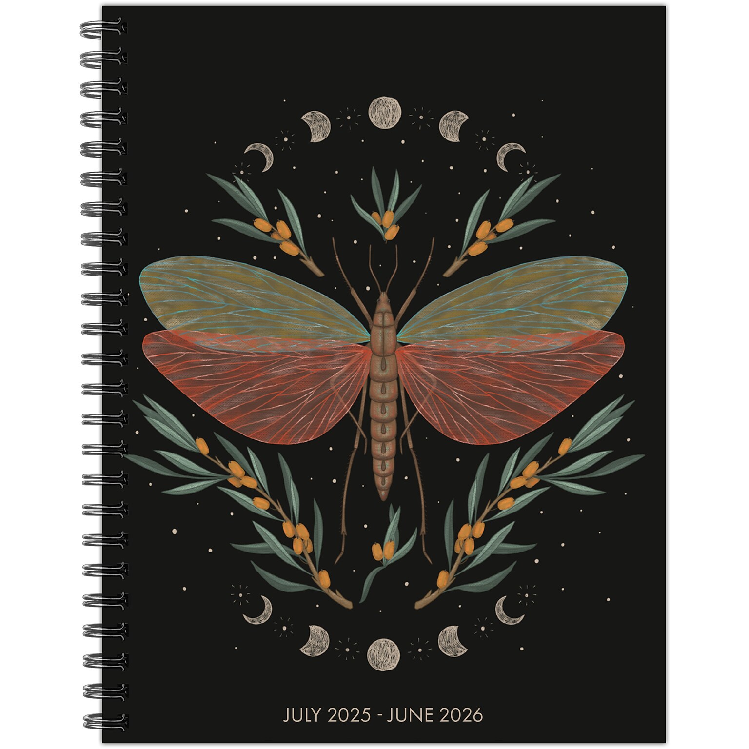 2025-2026 Willow Creek Mystic Butterfly 6.5 x 8.5 Academic Year Weekly & Monthly Planner, Multicolored (56899)