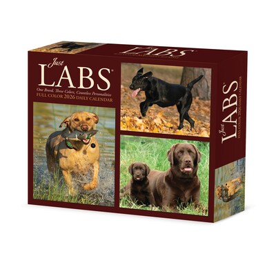 2026 Willow Creek Just Labs 6.2" x 5.4" Day-to-Day Calendar (54277)