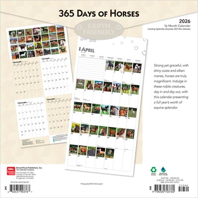 2026 BrownTrout 365 Days of Horses 12 x 12 Monthly Wall Calendar (9798330703760)