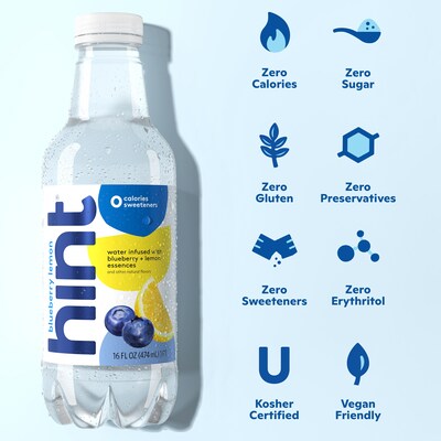 Hint White Variety Pack Purified Water, 16 oz., 12 Bottles/Carton (00349)