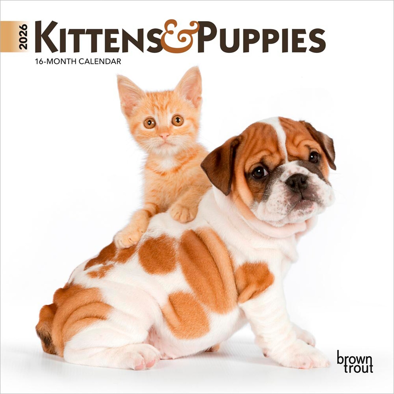 2026 BrownTrout Kittens & Puppies 7 x 7 Monthly Wall Calendar (9798330704095)