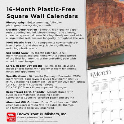 2025 BrownTrout Grand Canyon National Park 12" x 12" Monthly Square Wall Calendar (9781975474850)