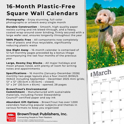 2026 BrownTrout Goldendoodles 12" x 12" Monthly Wall Calendar (9798330703500)