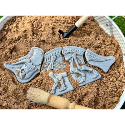 Yellow Door Dig and Discover Triceratops & Spinosaurus, Assorted Colors, 10/Set (YUS1228)