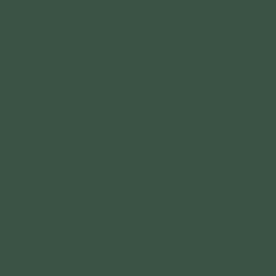 Apple Barrel Acrylic Paint Matte, 8oz., Hunter Green, 6/Pack (APP20407E-6)