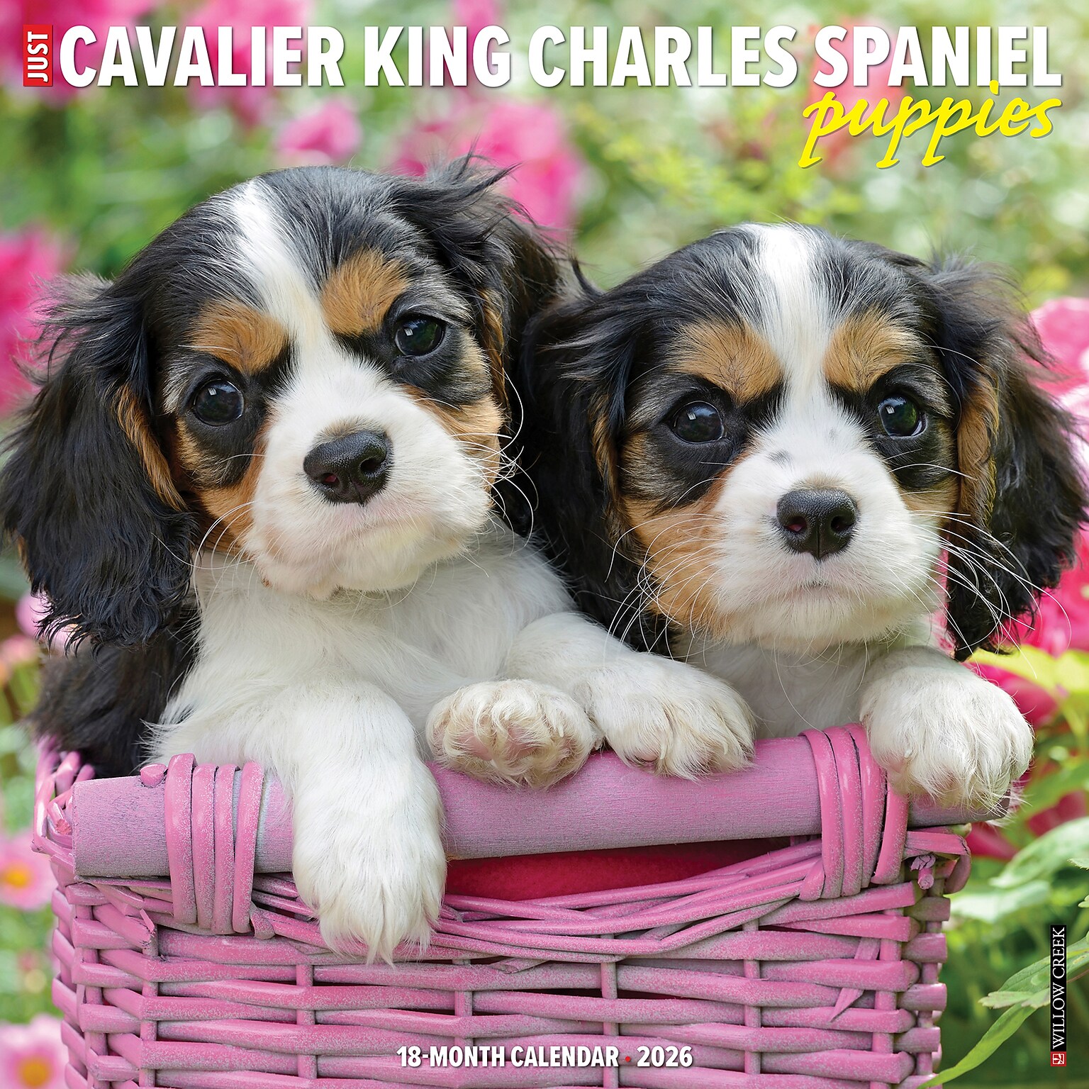 2026 Willow Creek Cavalier King Charles Spaniel Puppies 12 x 12 Monthly Wall Calendar (50644)