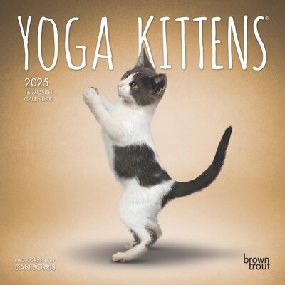 2025 BrownTrout Yoga Kittens 7 x 7 Monthly Wall Calendar (9781975479558)