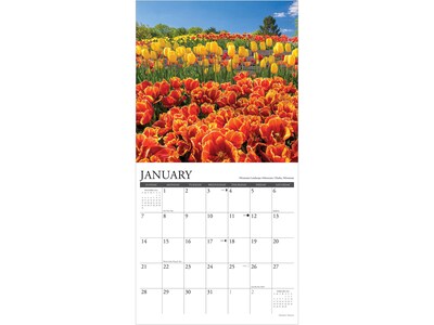 2024 Willow Creek Garden View 12" x 12" Monthly Wall Calendar (33609)