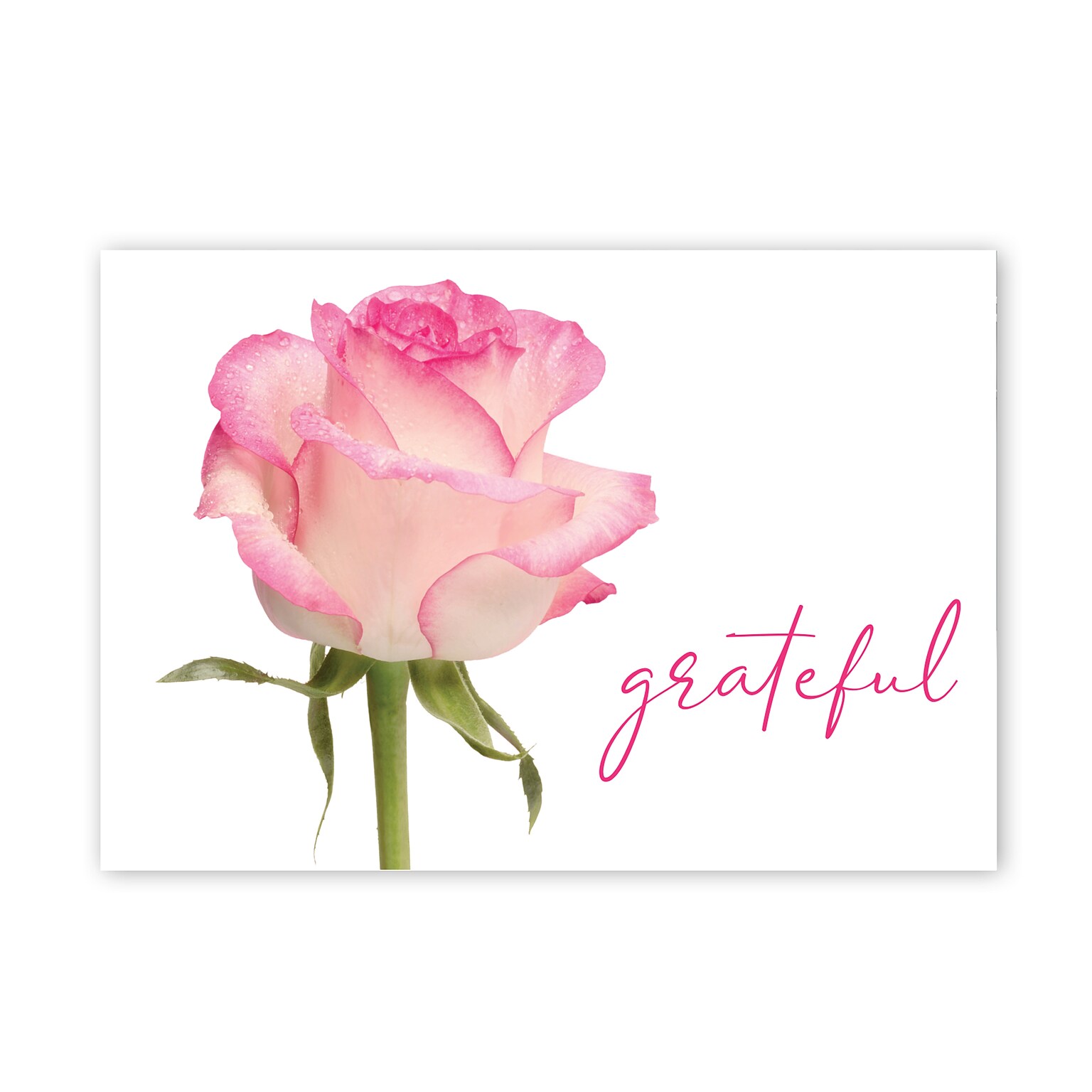 Great Papers Grateful Pink Rose General Use Thank You Notecard Kits, Multicolored, 24/Pack (2025029)
